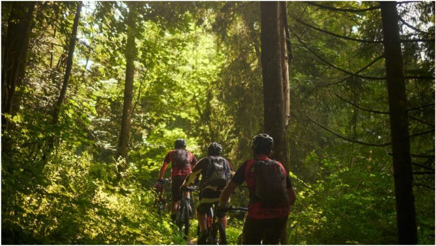 Tour sportivo guidato in Ebike: Val di Scalve